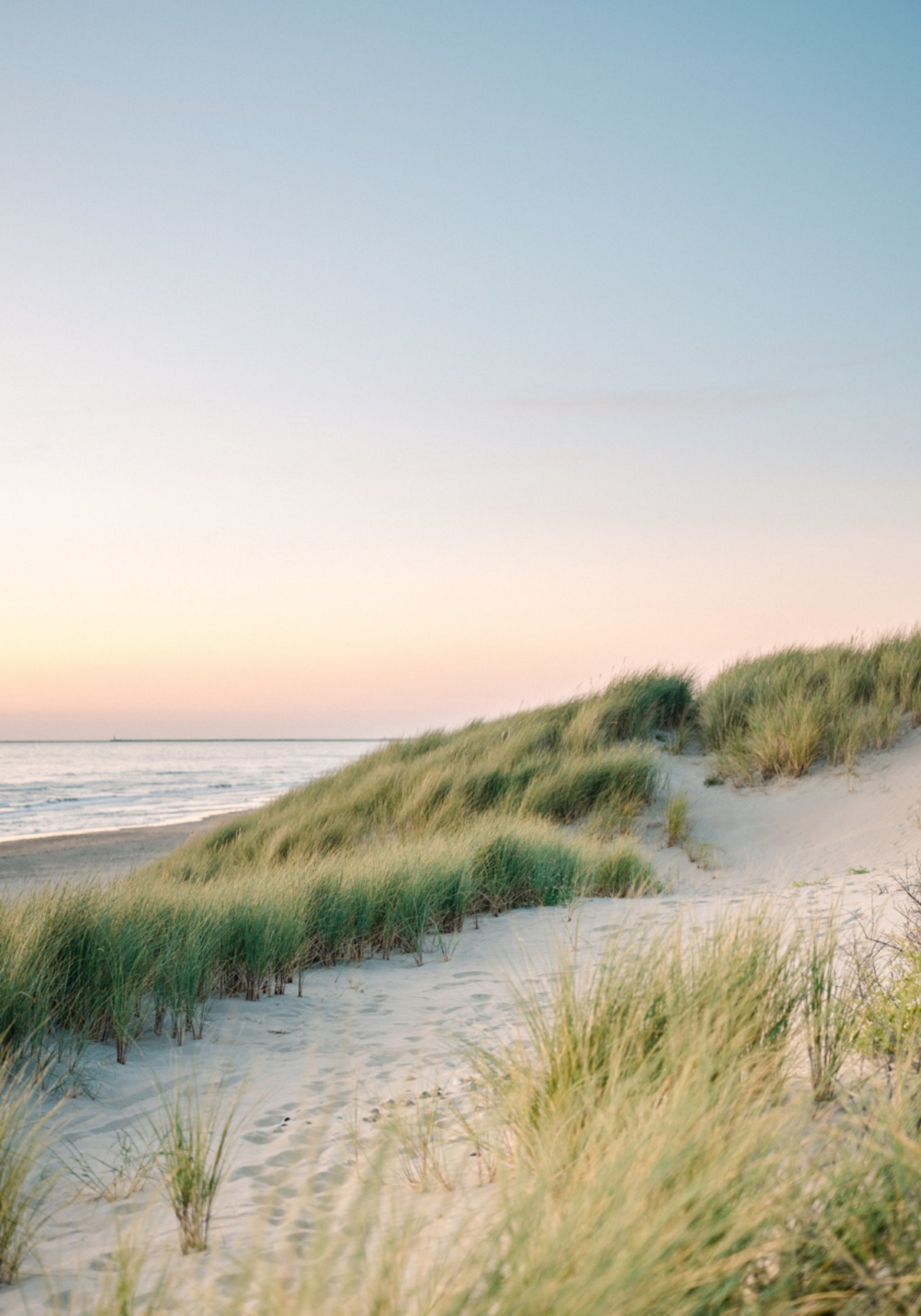 Dutch Dunes