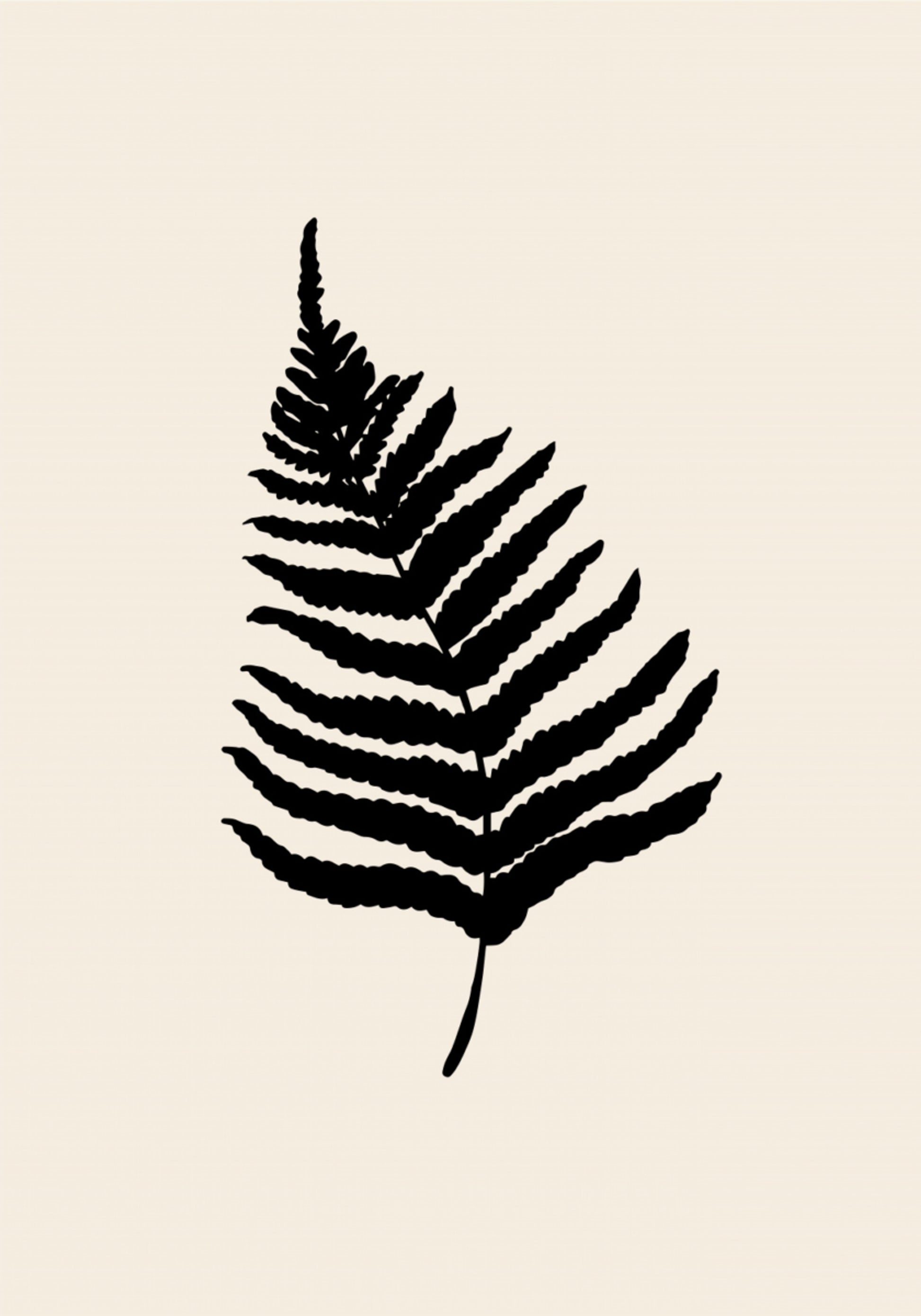 Minimal Fern Silhouette