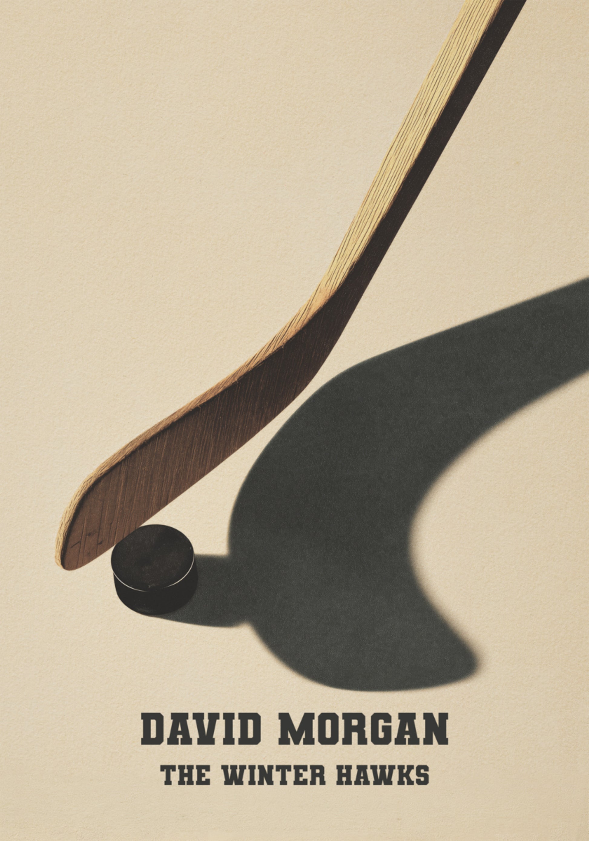 Vintage Hockey Stick and Puck Shadow Poster