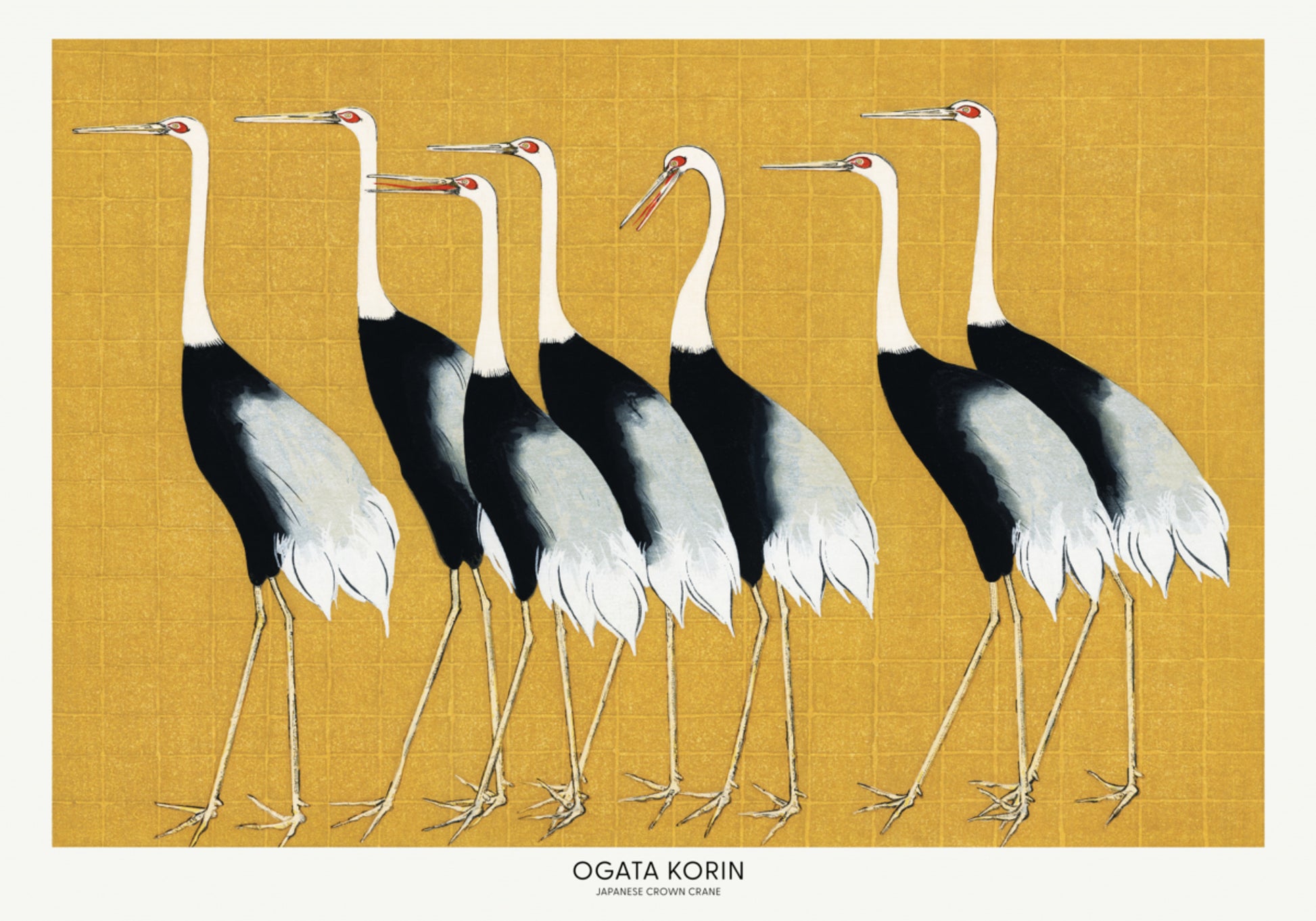 Japanese Red Crown Crane