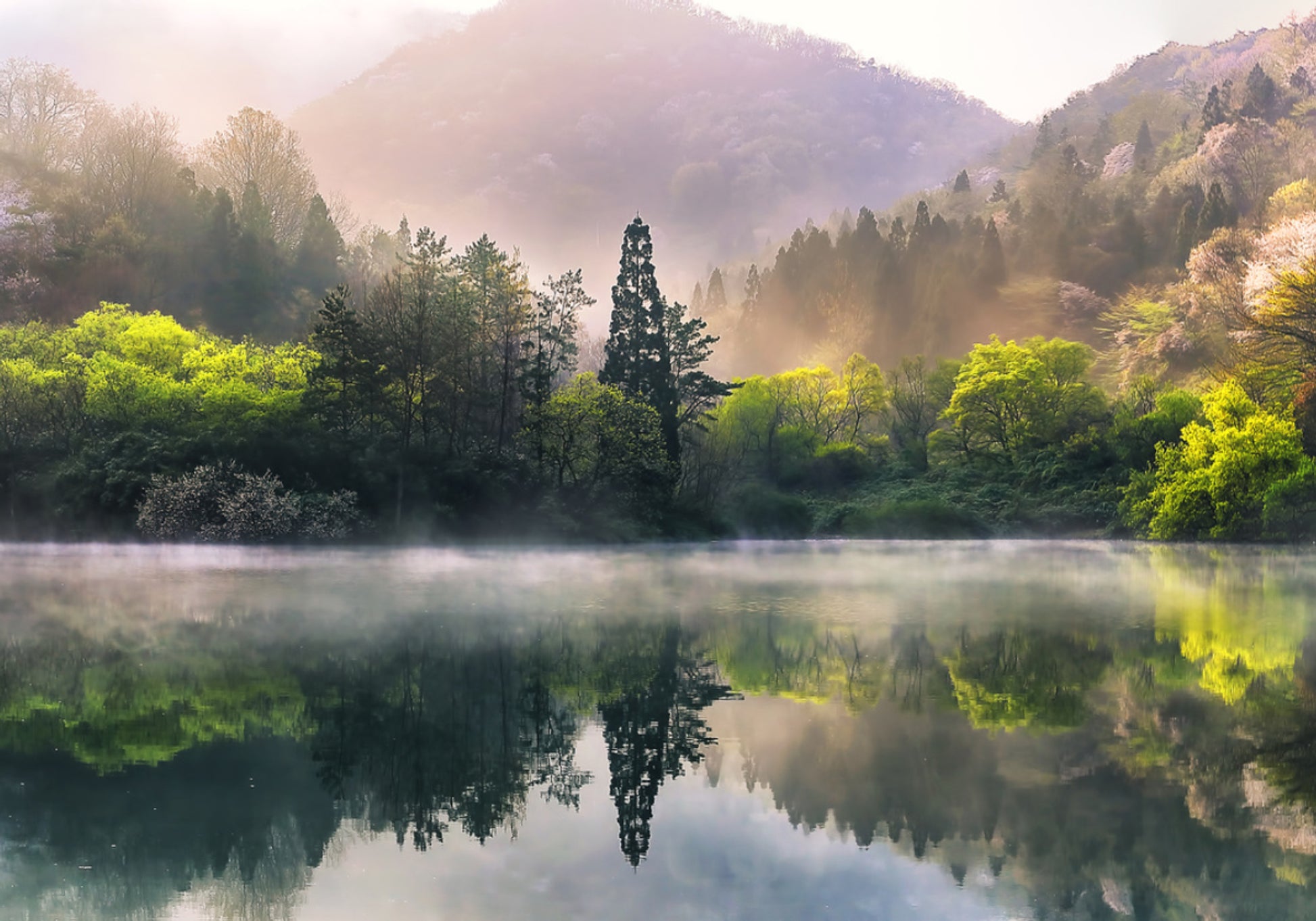 Misty Spring Lake Reflection