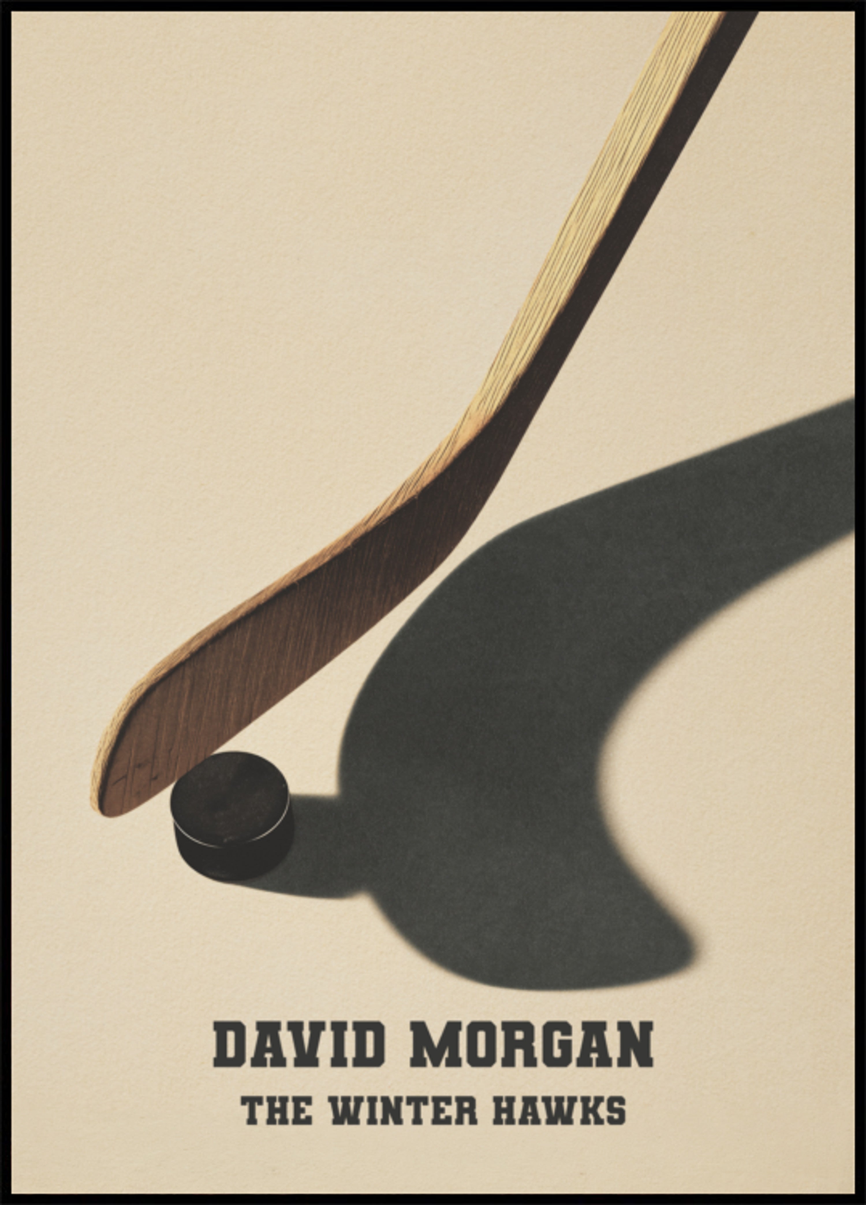 Vintage Hockey Stick and Puck Shadow Poster