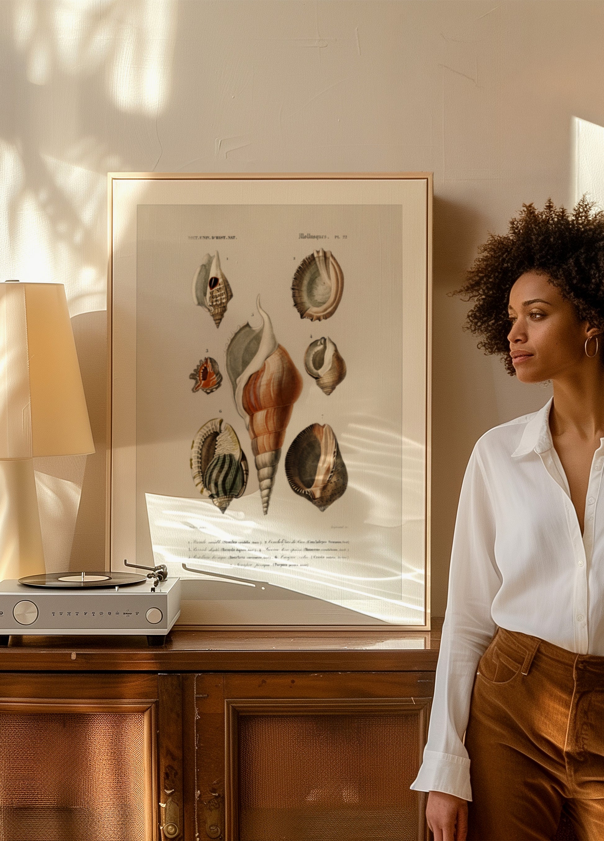 Different Types of Mollusks