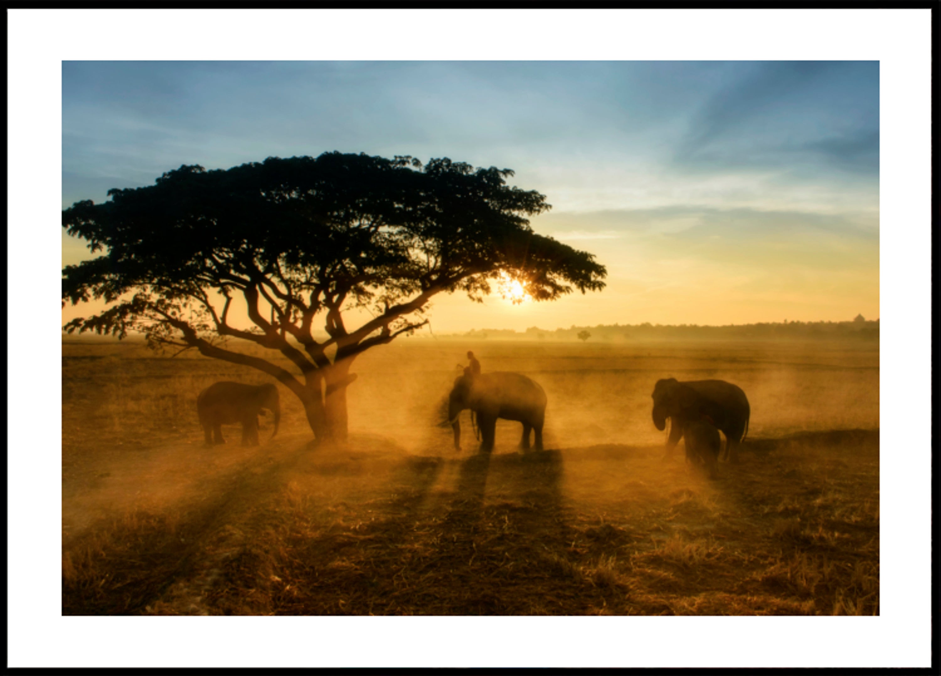 Elephants Golden Sunset